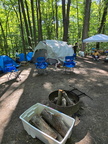 2025 Annual Fatherhood Camping Trip - Zeta Omega Chapter of Omega Psi Phi Fraternity, Inc.